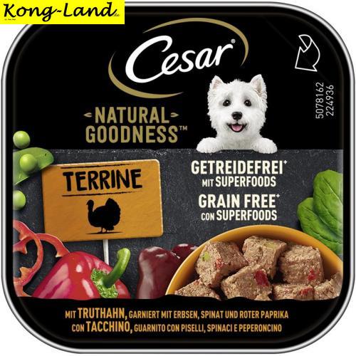 16 x Cesar Schale Natural Goodness Terrine Getreidefrei Superfoods Truthahn 100g